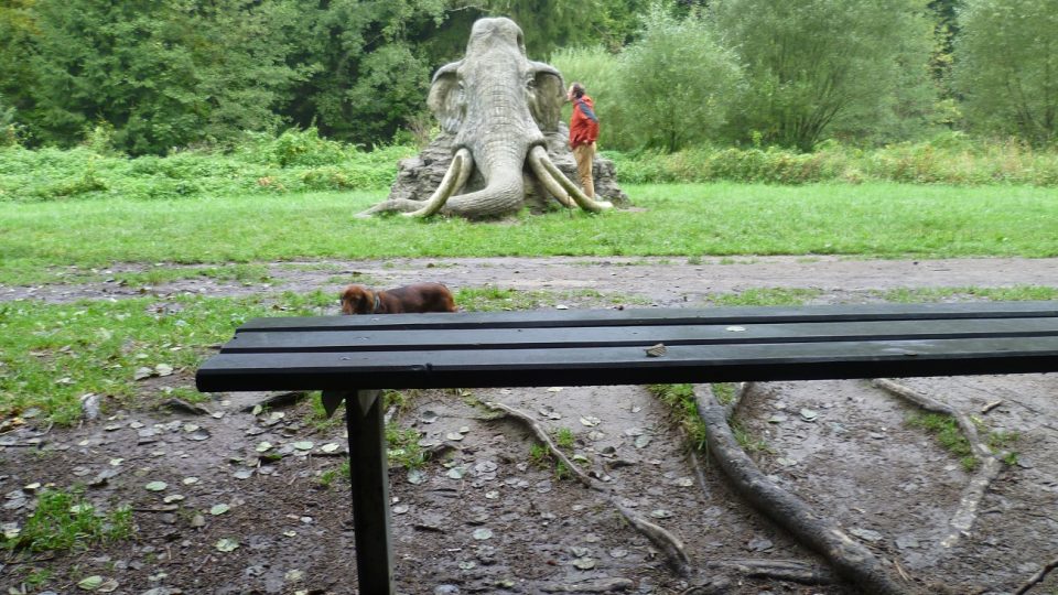 Pohled na mamuta si může každý vychutnat z lavičky