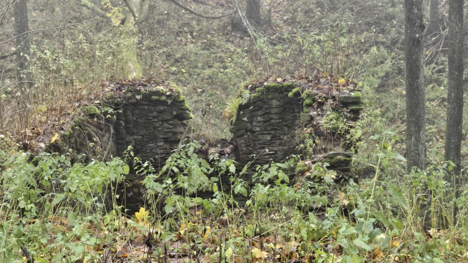 Ruiny jednoho z domů v někdejších Sklenářovicích | foto: Vladislava Wildová, Český rozhlas Ruiny jednoho z domů v někdejších Sklenářovicích