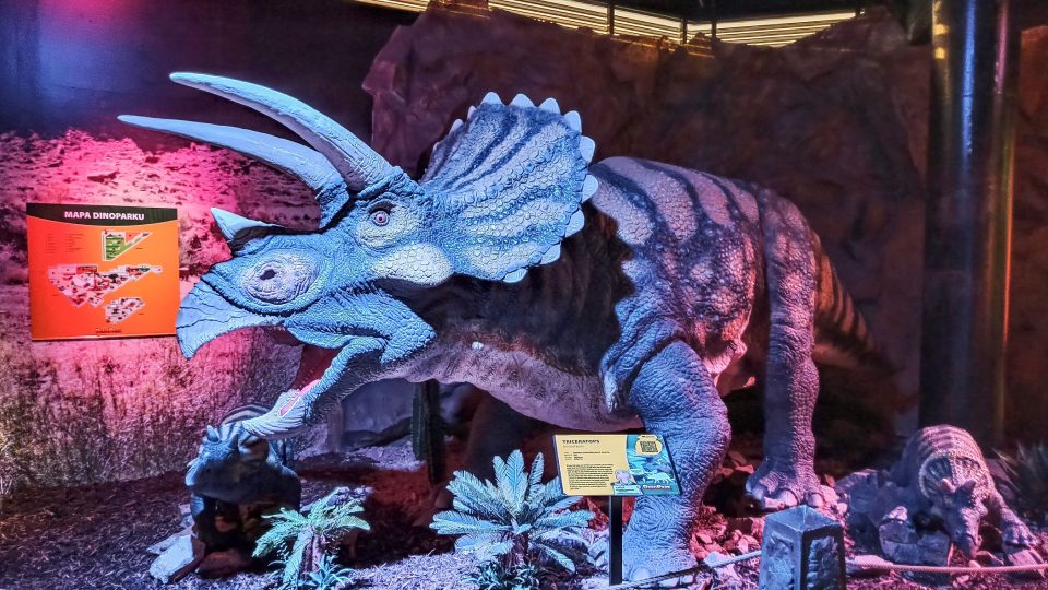 Triceratops - třírohá tvář