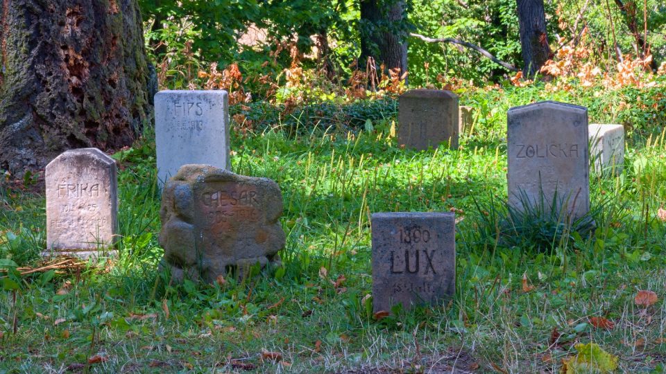 Nejstarší psí hřbitov ve střední Evropě se nachází v lesíku vedle zámku. První náhrobek psa Luxe pochází z roku 1890