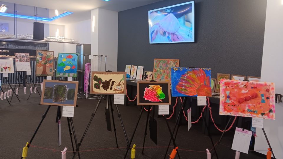 Obrazy vystavené k dražbě na oslavě 35. výročí Denního stacionáře Mateřídouška | foto: Eva Jandáková, Český rozhlas Obrazy vystavené k dražbě na oslavě 35. výročí Denního stacionáře Mateřídouška