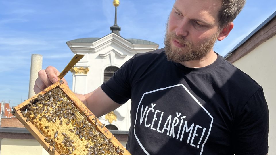 Včelař Tomáš Görig