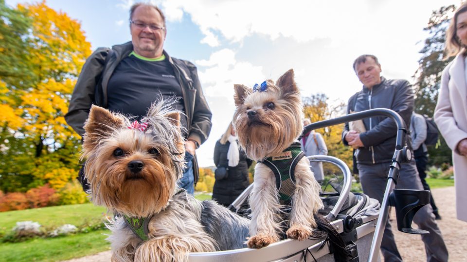 Výherce doprovodili i jejich čtyřnozí přátelé | foto: Martin Čuřík Výherce doprovodili i jejich čtyřnozí přátelé