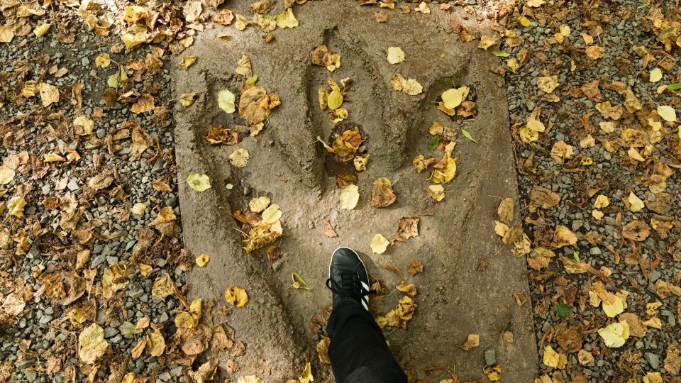 Umělý odlitek stopy dinosaura demonstruje jeho mohutnost v porovnání s nohou člověka | foto: Zdeněk Truhlář, Český rozhlas Umělý odlitek stopy dinosaura demonstruje jeho mohutnost v porovnání s nohou člověka