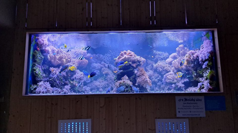 Akvárium o objemu šesti tisíc litrů vody