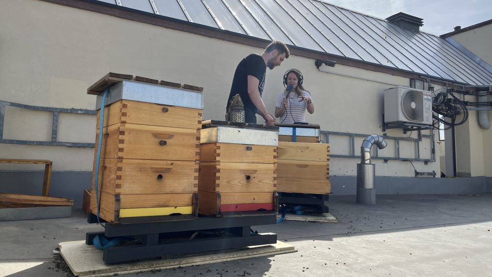 Včely na střeše Českého rozhlasu Brno