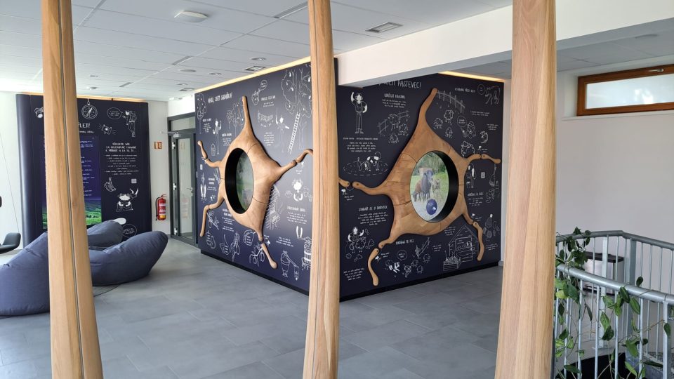 Dům přírody Bílých Karpat, Veselí nad Moravou | foto: Michal Sladký, Český rozhlas Dům přírody Bílých Karpat, Veselí nad Moravou