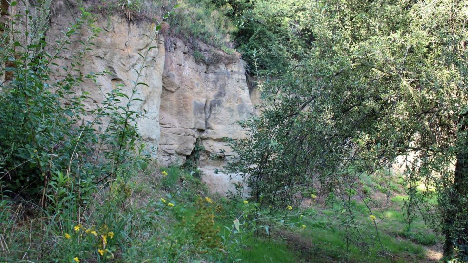 Přírodní památka Prosecké skály s labyrintem přírodních i umělých jeskyň