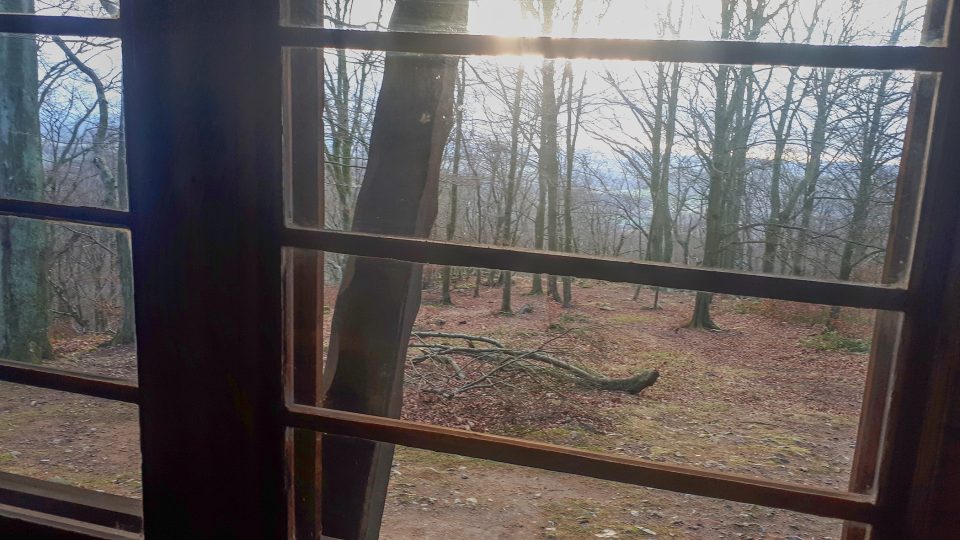 Posezení s čajem u velkých oken oceníte díky krásným výhledům do lesa