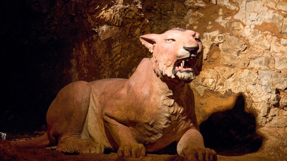 Model jeskynního lva