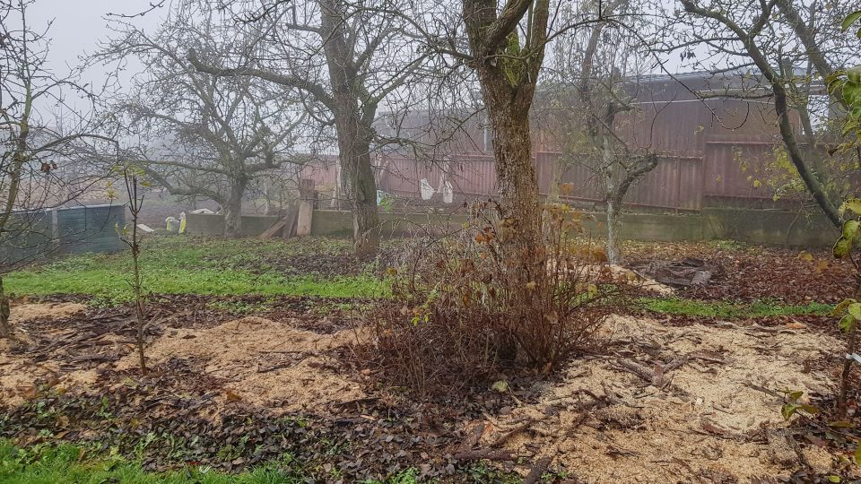 Přes zimu nesmí na trávníku zůstat žádné listí, pod kterým by hnila tráva | foto: Irena Šarounová, Český rozhlas Přes zimu nesmí na trávníku zůstat žádné listí, pod kterým by hnila tráva