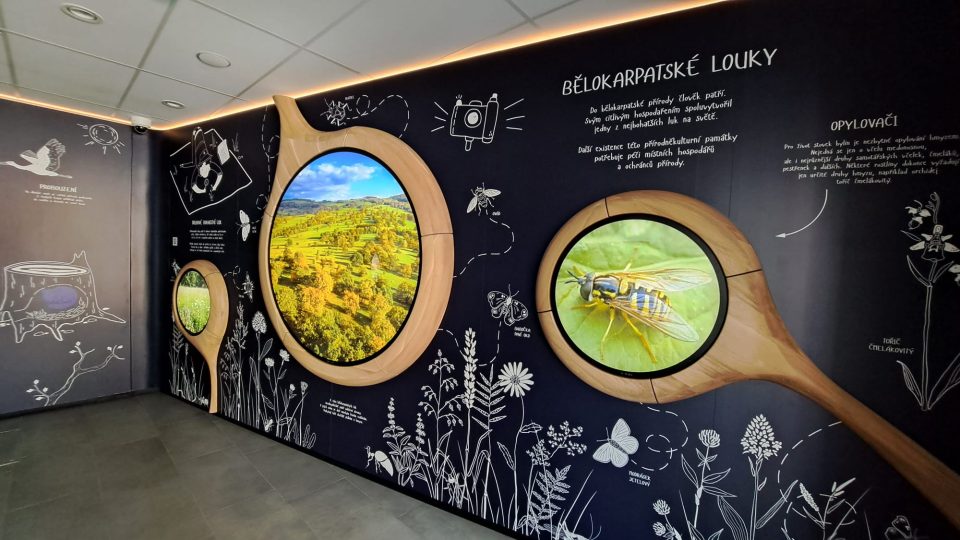 Dům přírody Bílých Karpat, Veselí nad Moravou | foto: Michal Sladký, Český rozhlas Dům přírody Bílých Karpat, Veselí nad Moravou
