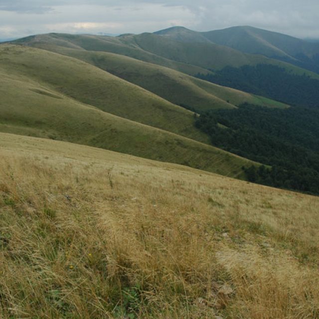 Fotografie Pavla Klvače | foto: Pavel Klvač