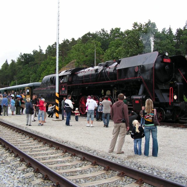 Šotouše najdete hlavně na nádražích | foto: Oldřich Zadražil