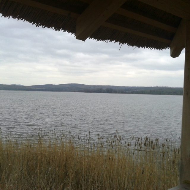 Největší moravský rybník Nesyt v době,  kdy byla hladina na běžné úrovni. | foto: Hana Ondryášová,  Český rozhlas