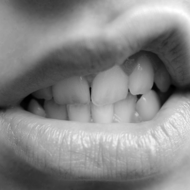 Pusa  (ilustrační foto) | foto: Denise Coronel