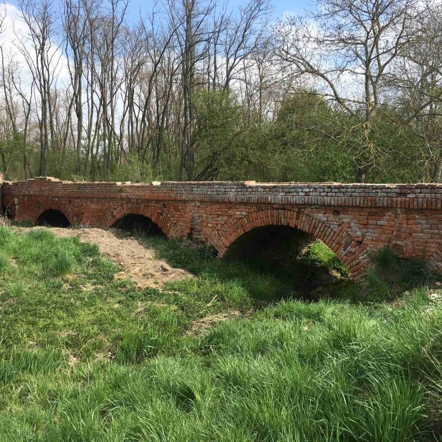 O existenci cihlového mostu nedaleko Mikulova donedávna neměli tušení ani místní obyvatelé | foto: Vlasta Gajdošíková,  Český rozhlas