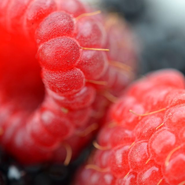Maliny | foto: Jolana Nováková,  Český rozhlas