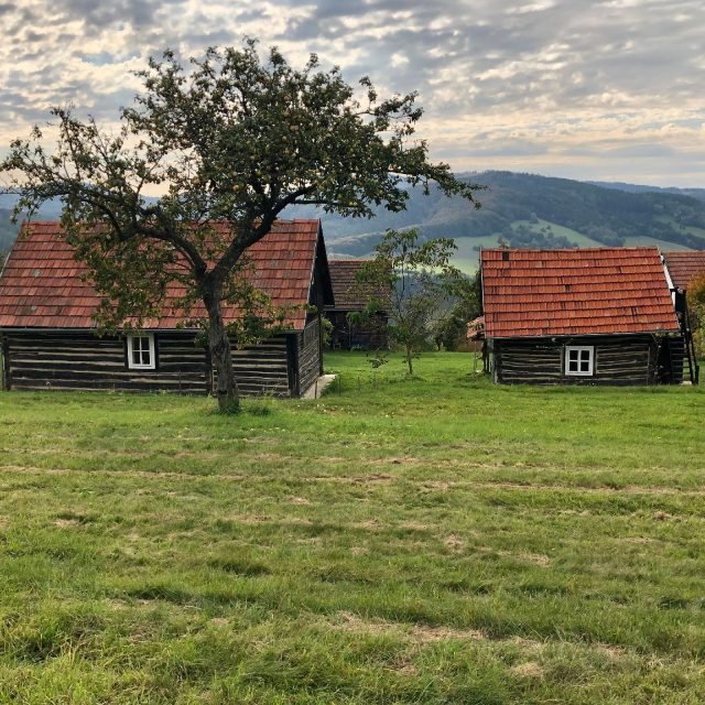 Zahrada u domku poslední žítkovské bohyně Irmy Gabrhelové | foto: Andrea Kratinová