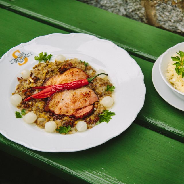 Čočka s uzeným bůčkem a salátem z kysaného zelí s křenem podle Jaroslava Sapíka | foto: Jana Volková