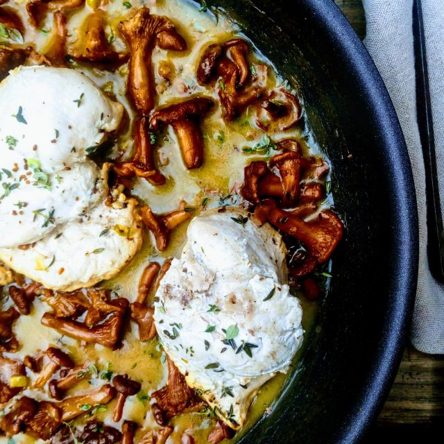 Krůtí na liškách s kmínem | foto: Gourmet jižní Morava