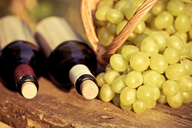 Vinařův rok vás provede dvanácti měsíci práce na dobrém víně. | foto: Fotobanka Profimedia