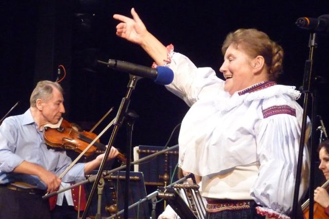 Vlasta Grycová si zazpívala s BROLNem a také s bývalými muzikanty z  BROLNu,  kteří zahráli pod vedením Jana Kružíka | foto: Alena Podlucká