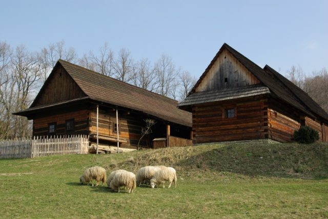 Valašské muzeum v přírodě - ilustrační foto | foto: Roman Verner,  Český rozhlas