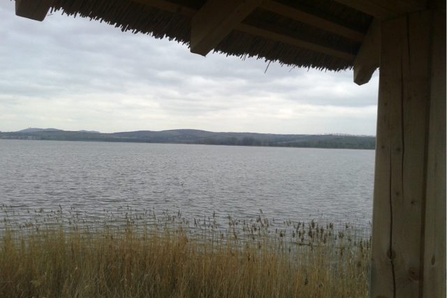 Největší moravský rybník Nesyt v době,  kdy byla hladina na běžné úrovni. | foto: Hana Ondryášová,  Český rozhlas