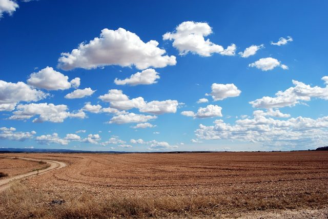 Scelená pole - zemědělská půda | foto: Fotobanka Pixabay