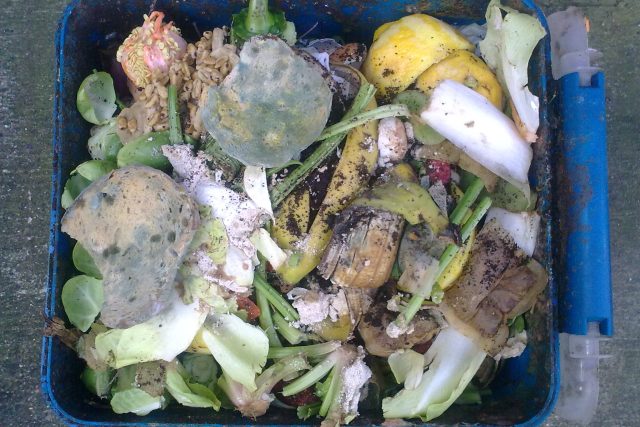 Jídlo v popelnici - odpad -plýtvání jídlem | foto: Creative Commons Attribution 2.0 Generic,  Nick Saltmarsh