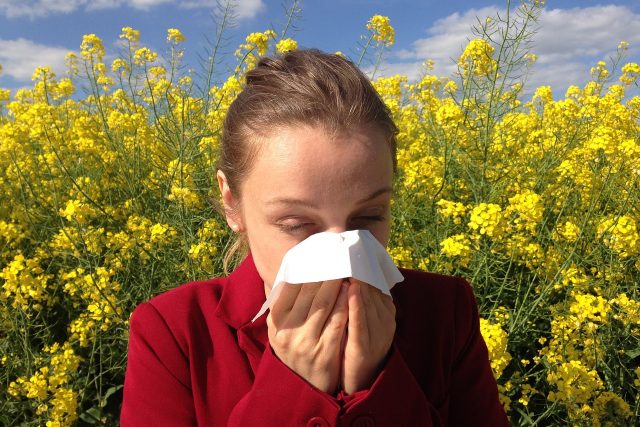 Sotva přestalo mrznout,  alergici už vytahují kapesníky. | foto: Fotobanka Pixabay