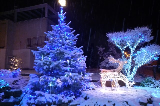 Lhota u Malenovic na Zlínsku,  vánoční osvětlení na zahradě Petra Kašíka | foto: Markéta Macháčková,  Český rozhlas