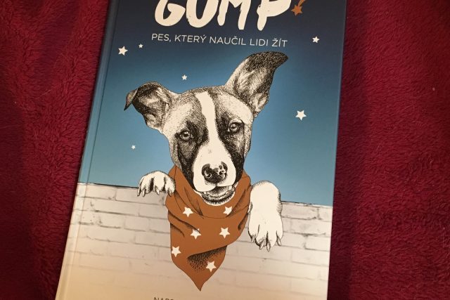 Gump – pes,  který naučil lidi žít | foto: Jana Myslivečková,  Český rozhlas