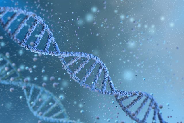 DNA | foto: Shutterstock
