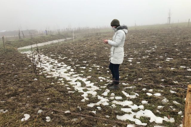 Strouhy zadrží tající sníh nebo dešťovou vodu | foto: Vlasta Gajdošíková,  Český rozhlas