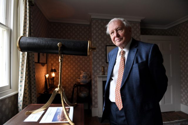 Sir David Attenborough | foto: Profimedia