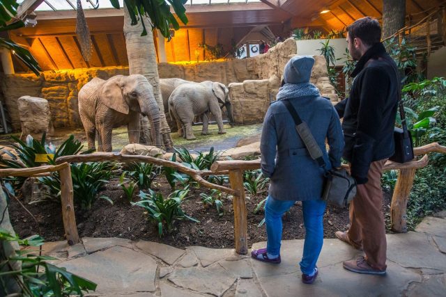 Pavilon slonů ve zoologické zahradě Zlín | foto: Fotobanka Profimedia