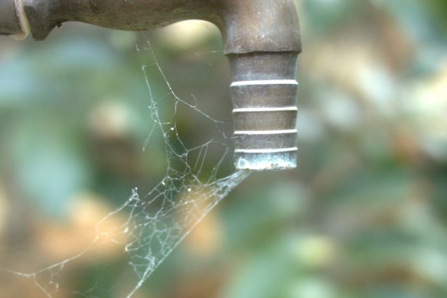 Nedostatek vody působí problémy na území celé republiky | foto: Fotobanka Pixabay