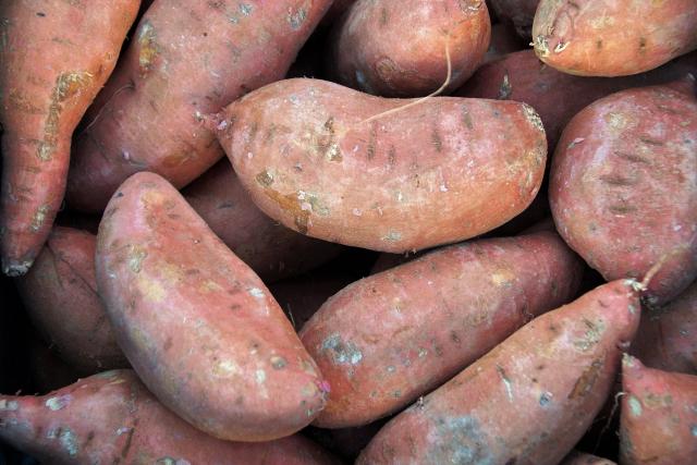 Sladké brambory si můžete vypěstovat i doma v květináči | foto: Fotobanka Pixabay
