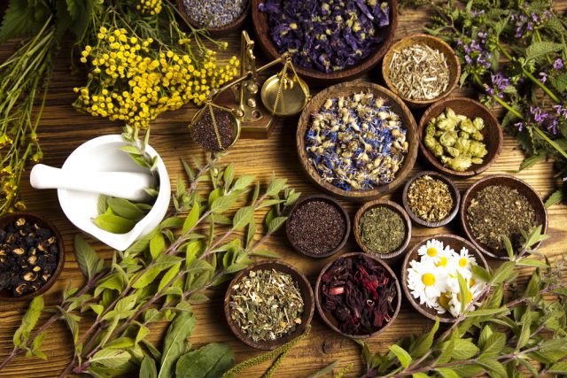 léčivé rostliny,  bylinky,  alternativní medicína,  léčitelství,  ilustrační foto | foto: Shutterstock
