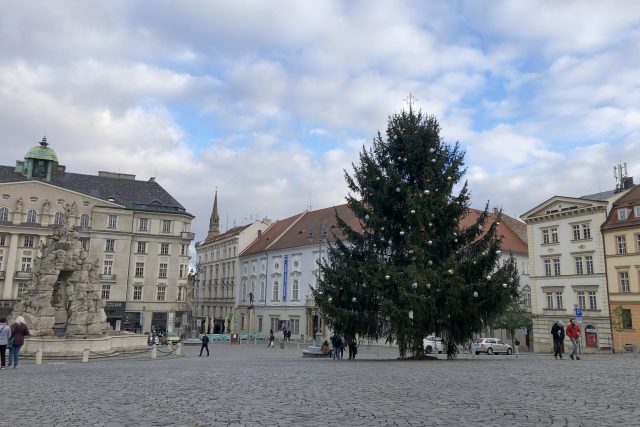 Vánoční strom na Zelném trhu | foto: Ludmila Opltová,  Český rozhlas