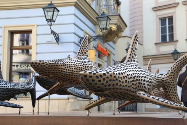 Sochy žraloků od Michala Gabriela na brněnském Šilingrově náměstí  | foto: Ludmila Opltová,  Český rozhlas