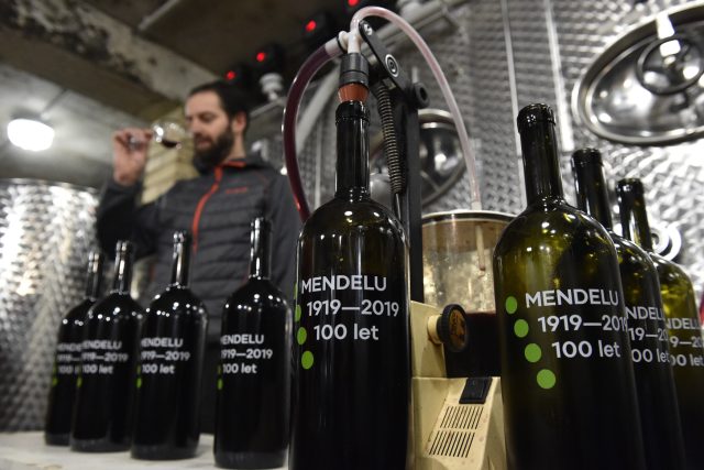 Červené víno odrůdy Cerason ručně lahvovali odborníci ze Zahradnické fakulty Mendelovy univerzity | foto: Václav Šálek,  ČTK