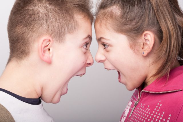 Taky se někdy hádáte se sourozencem? | foto: Shutterstock